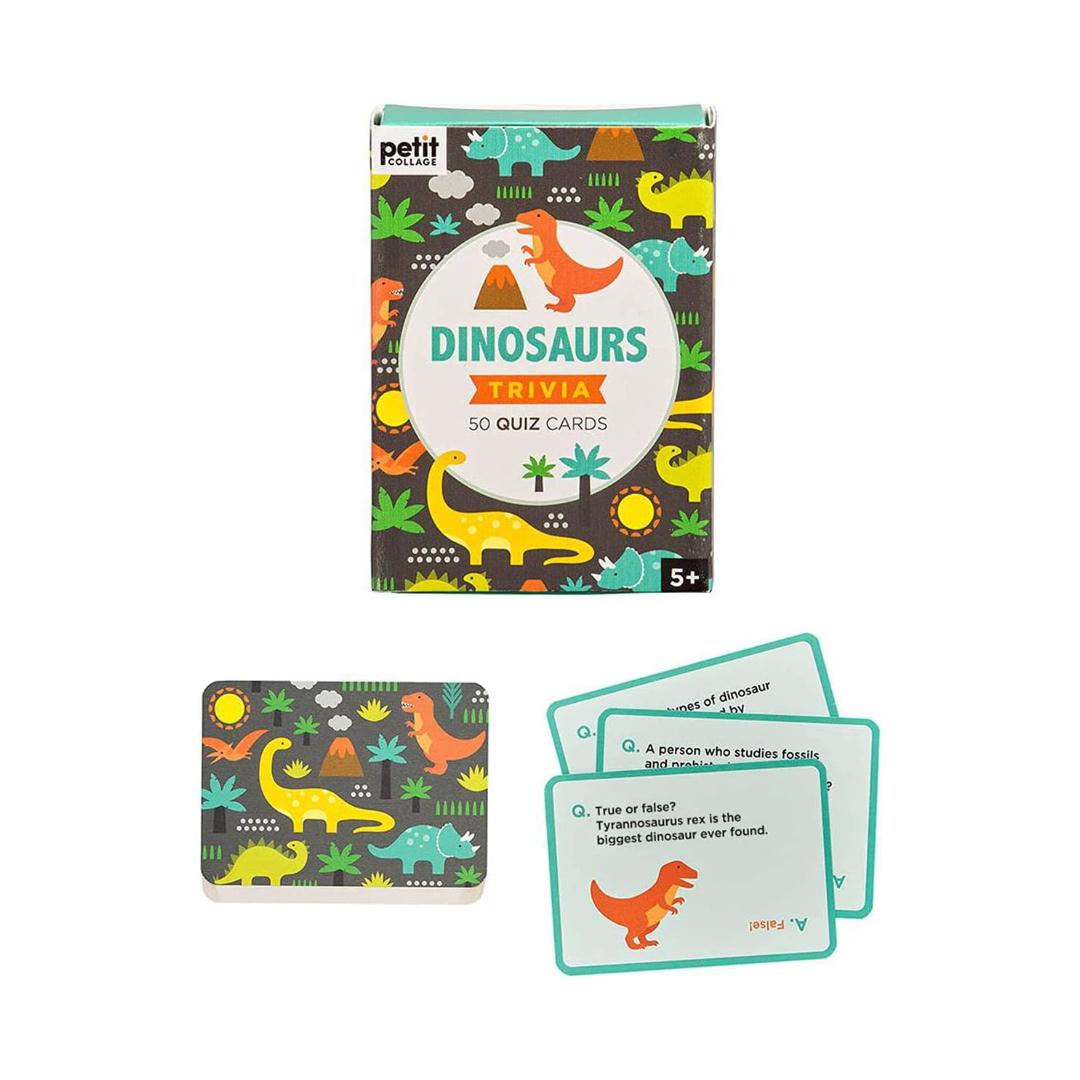 Montessori Petit Collage Dinosaurs Trivia Quiz Cards