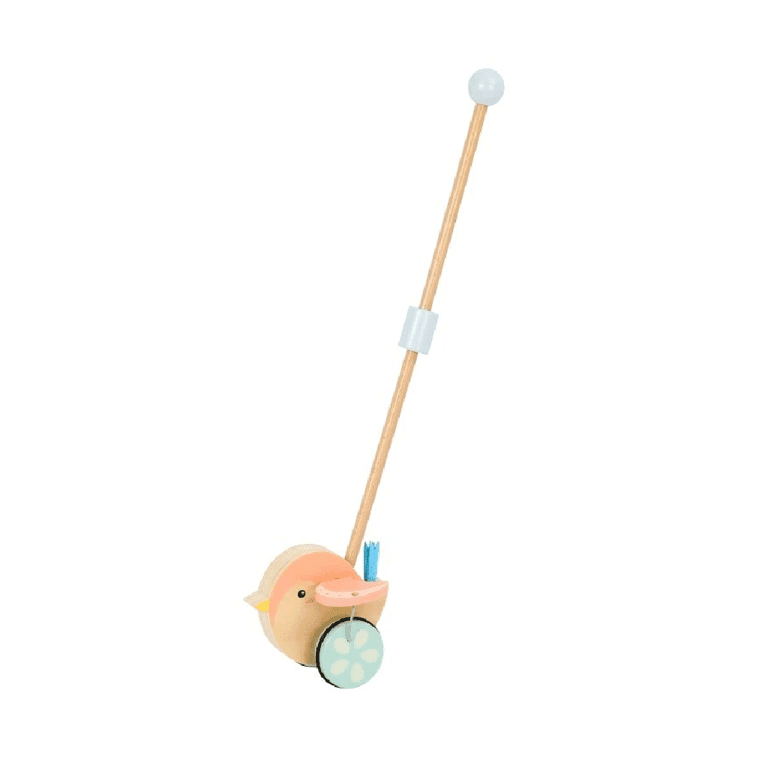 Montessori Elis Design Push and Pull Toys Bird