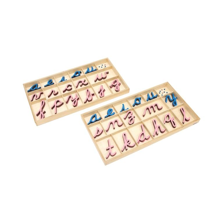 Montessori Alison's Montessori Large Movable Alphabet Cursive Pink and Blue Premium Quality