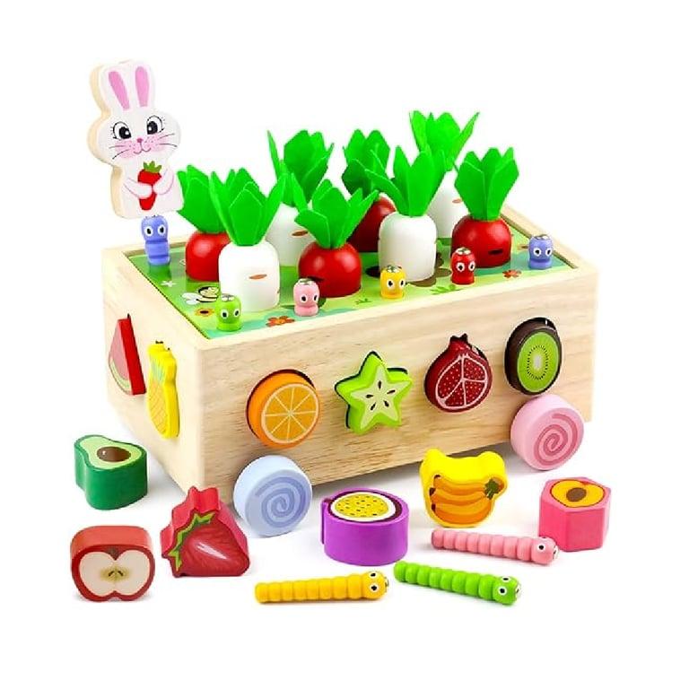 Montessori Airlab Wooden Shape Sorter