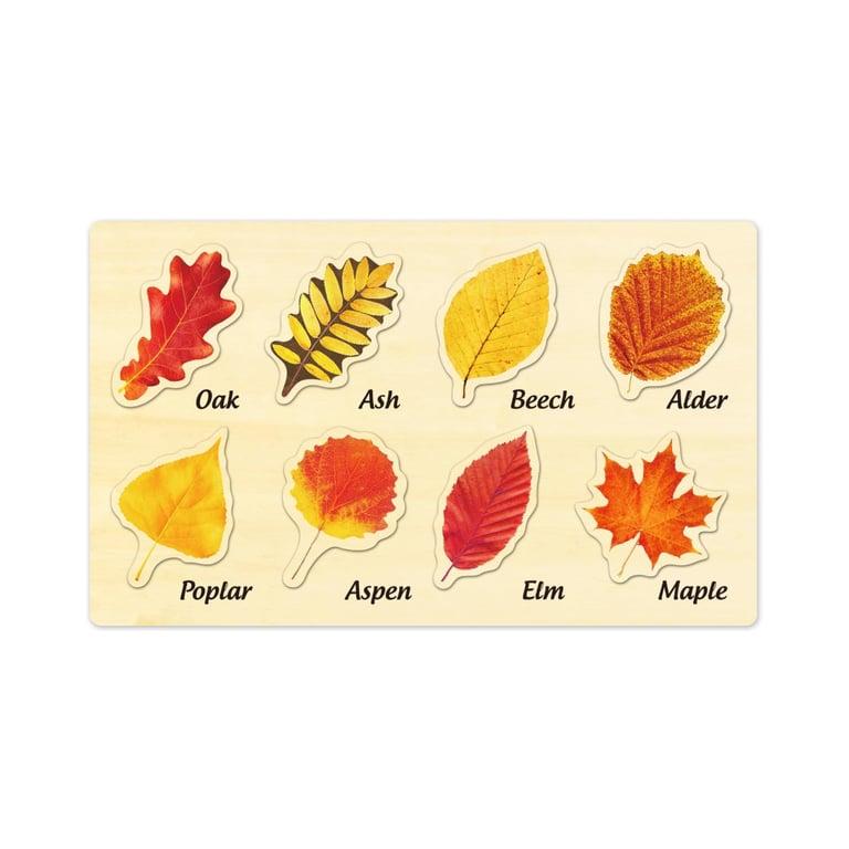 Montessori MoinKidz Leaf Wooden Puzzle