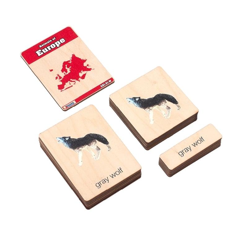 Montessori Alison's Montessori Wooden Nomenclature Cards Animals of Europe