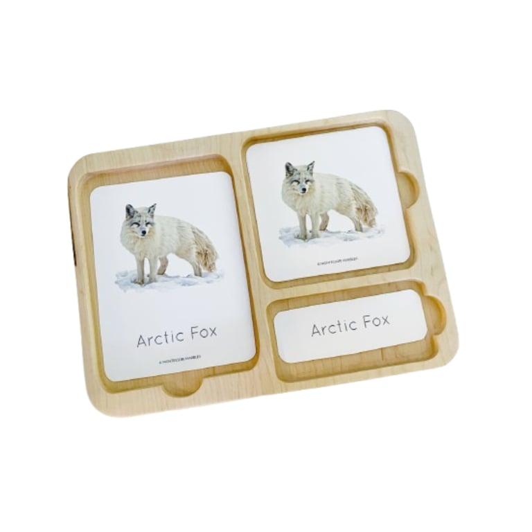 Montessori Barn Owl Kids 3 Part Activity Card Tray Maple Wood (Blonde)