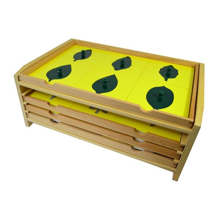 Montessori Thinkamajigs Botany Leaf Cabinet