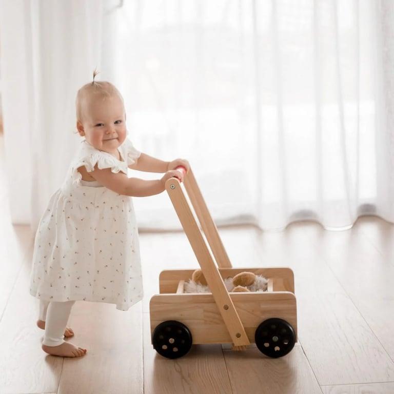 Montessori Qtoys Classic Baby Walker