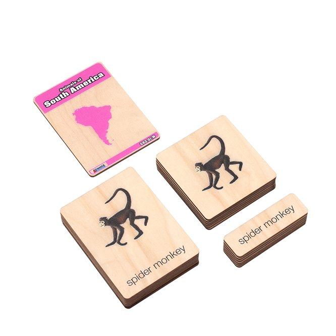 Montessori Alison's Montessori Wooden Nomenclature Cards Animals of South America