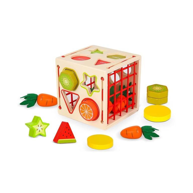 Montessori Joyreal Wooden Shape Sorter