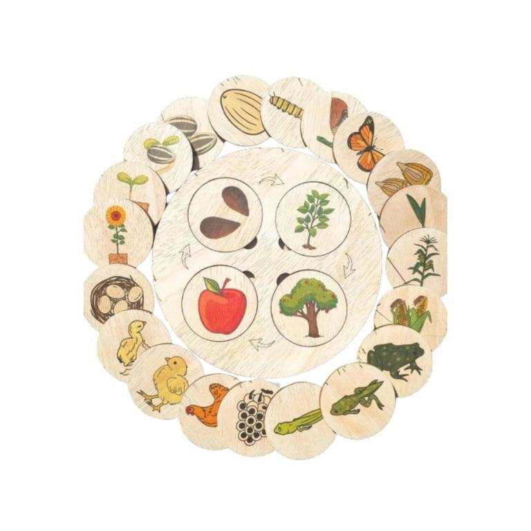 Montessori Minisko Life Cycle Tray