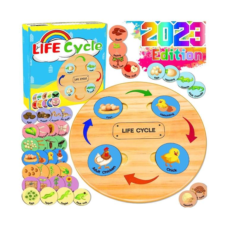 Montessori HeyKiddo Life Cycle Tray Set Plants & Animals